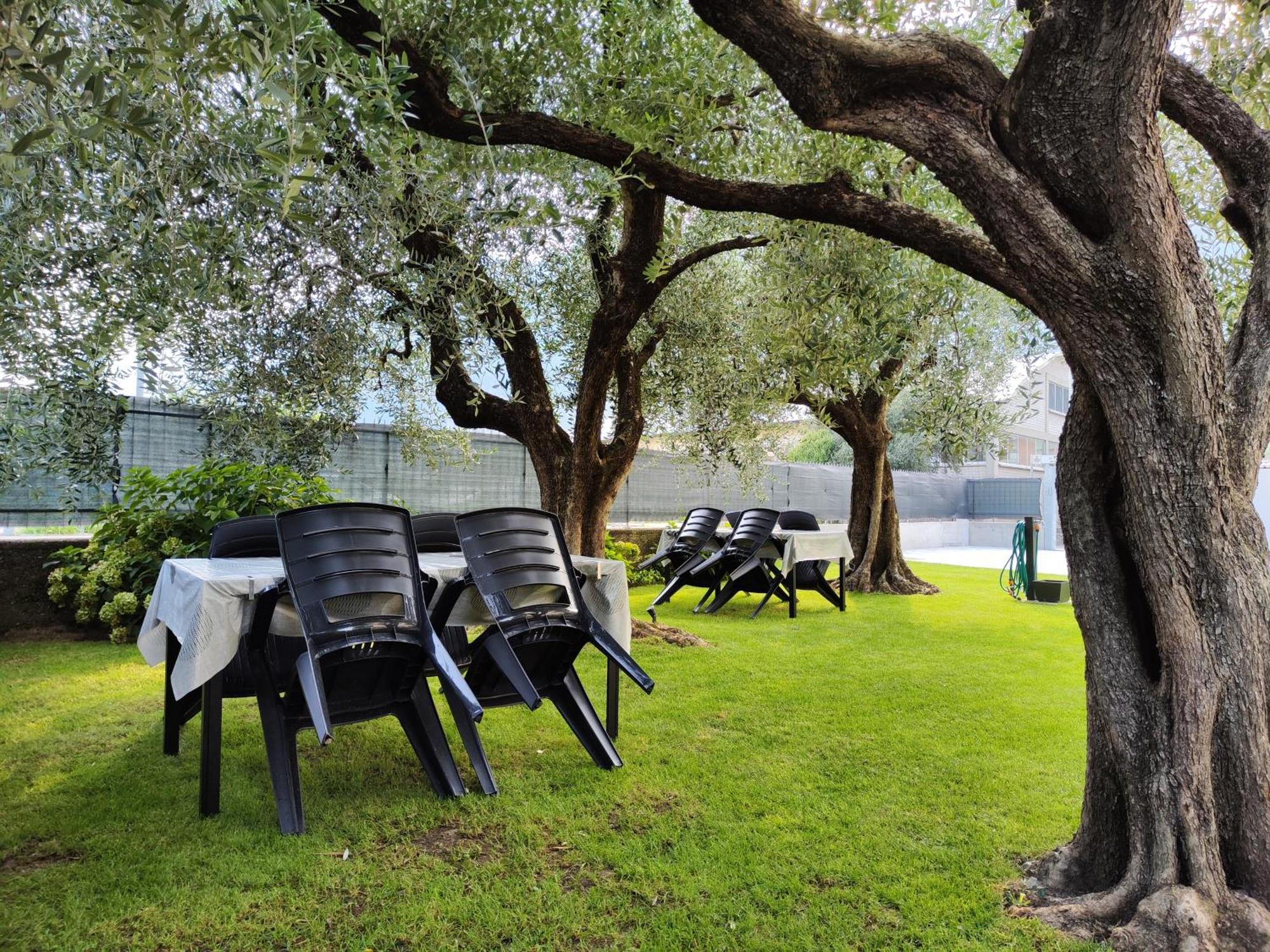Oasi Degli Ulivi Riva del Garda Exterior foto